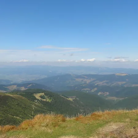 Forward Pool&sauna יאסינה