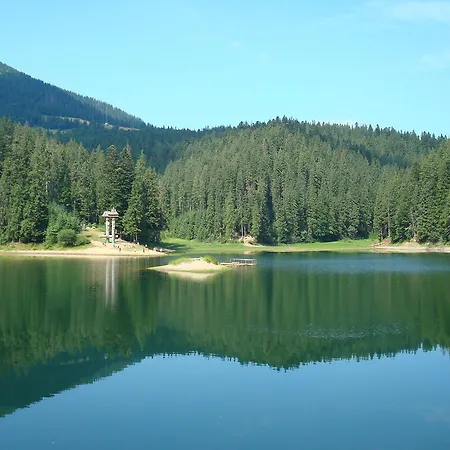 מלון Forward Pool&sauna