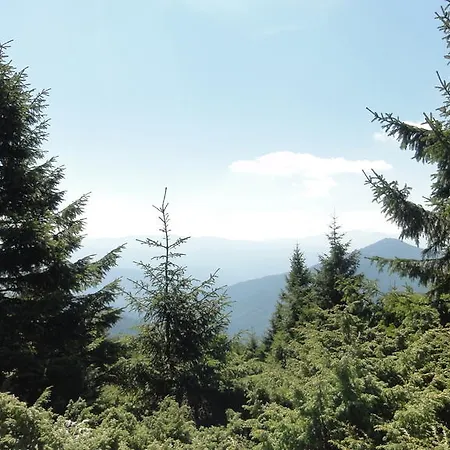 Отель Forward Pool&sauna Ясиня