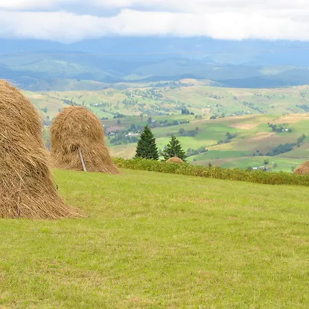Forward Pool&sauna יאסינה