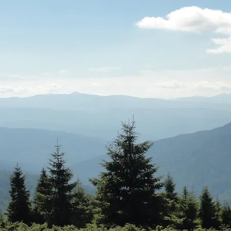 מלון Forward Pool&sauna