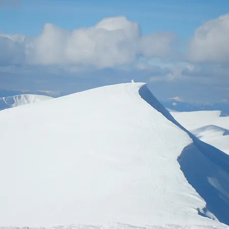 Отель Forward Pool&sauna Ясиня