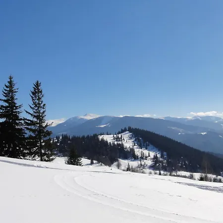 מלון Forward Pool&sauna *