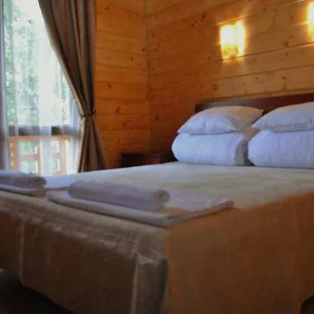 Отель Forward Pool&sauna *