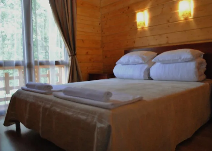 Hotel Forward Pool&sauna *